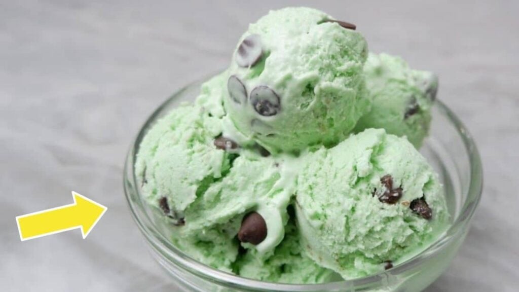 Mint Chocolate Chip Ice Cream, homemade and freshly served