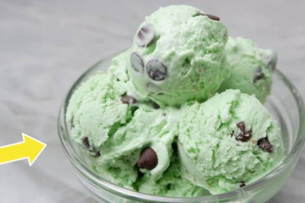 Mint Chocolate Chip Ice Cream, homemade and freshly served