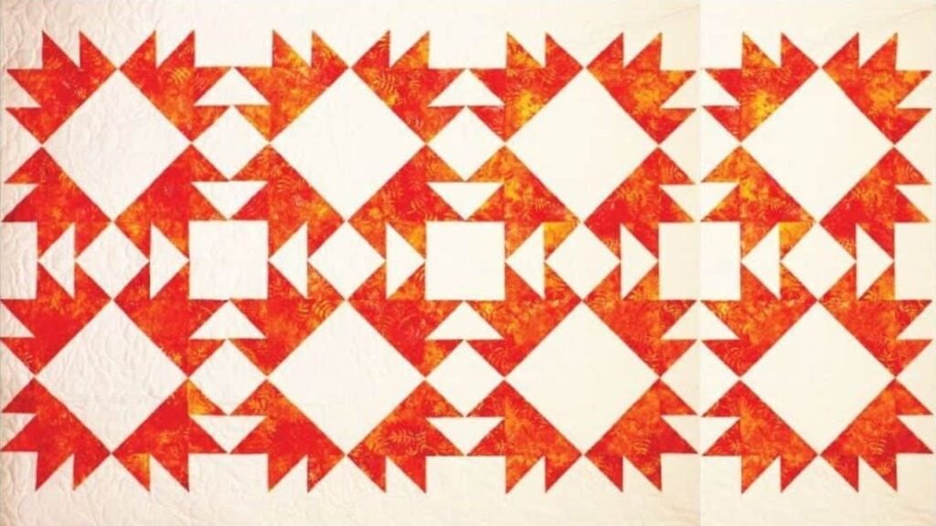 Finished Modern Bear Paw Star Quilt, a completed DIY project