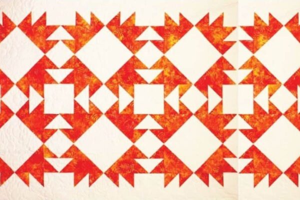Finished Modern Bear Paw Star Quilt, a completed DIY project