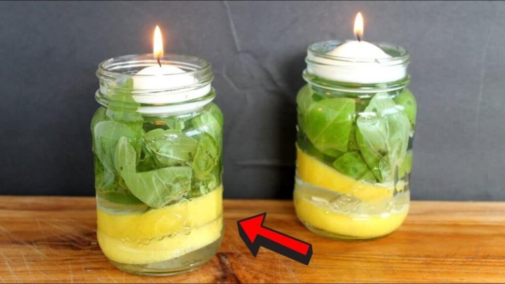 Finished Mosquito Repellent Candles That Actually Work, a completed DIY project