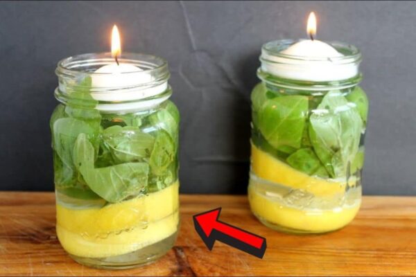 Finished Mosquito Repellent Candles That Actually Work, a completed DIY project