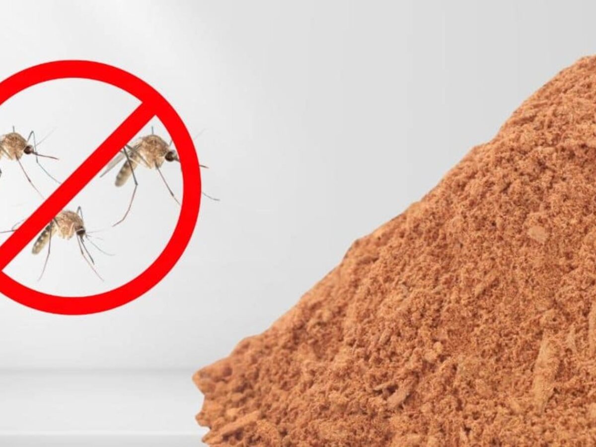 do mosquitoes hate cigarette smoke Does Repel Mosquitoes? Turns out mosquitoes are just