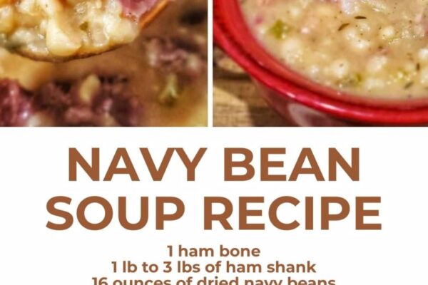 Navy Bean Soup, homemade and freshly served