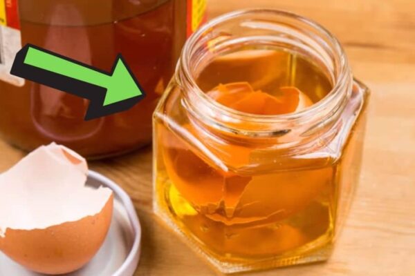 Why You Should Never Throw Away Eggshells, homemade and freshly served