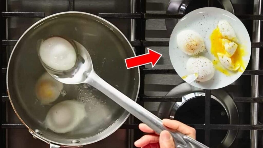 New Way to Poach an Egg That Never Fails, homemade and freshly served