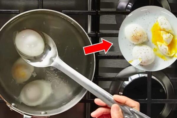 New Way to Poach an Egg That Never Fails, homemade and freshly served