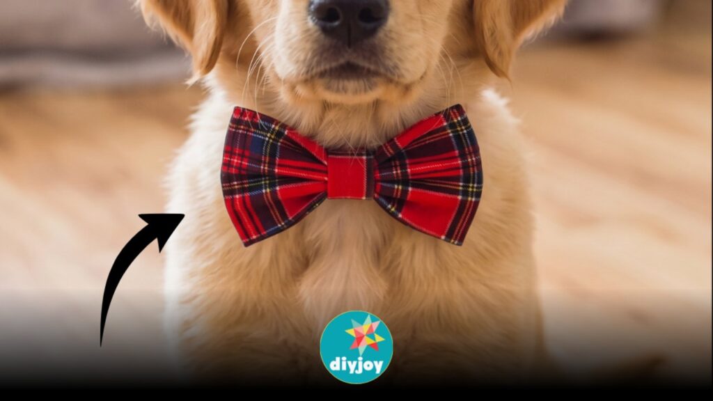 Finished No-Sew Doggie Bow Tie With Free Pattern, a completed DIY project