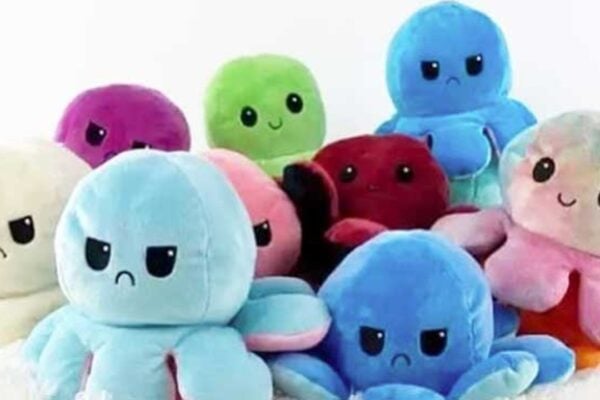 Finished DIY TikTok Viral Octopus Flip Plush, a completed DIY project