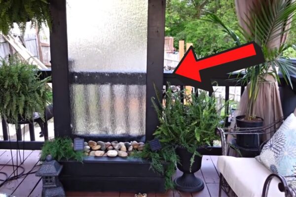 Finished Outdoor Water Wall DIY Using an Old Shower Door, a completed DIY project
