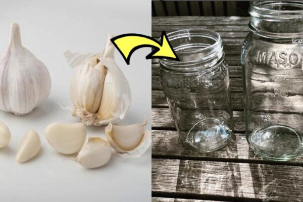 Finished How to Peel Garlic in a Mason Jar, a completed DIY project