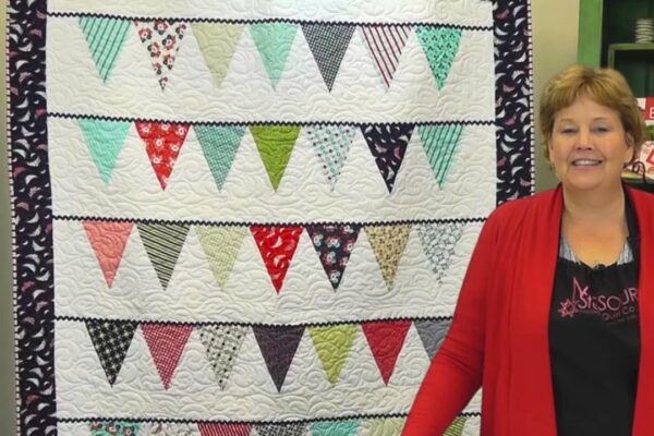 Finished Pennant Quilt With Jenny Doan, a completed DIY project