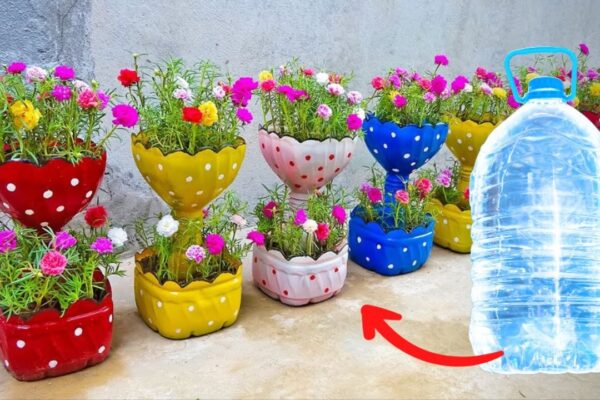 Finished Recycle Plastic Bottles into Two-Tiered Flower Pots, a completed DIY project