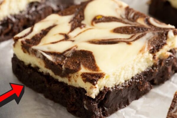 Rich and Fudgy Cheesecake Brownies, homemade and freshly served