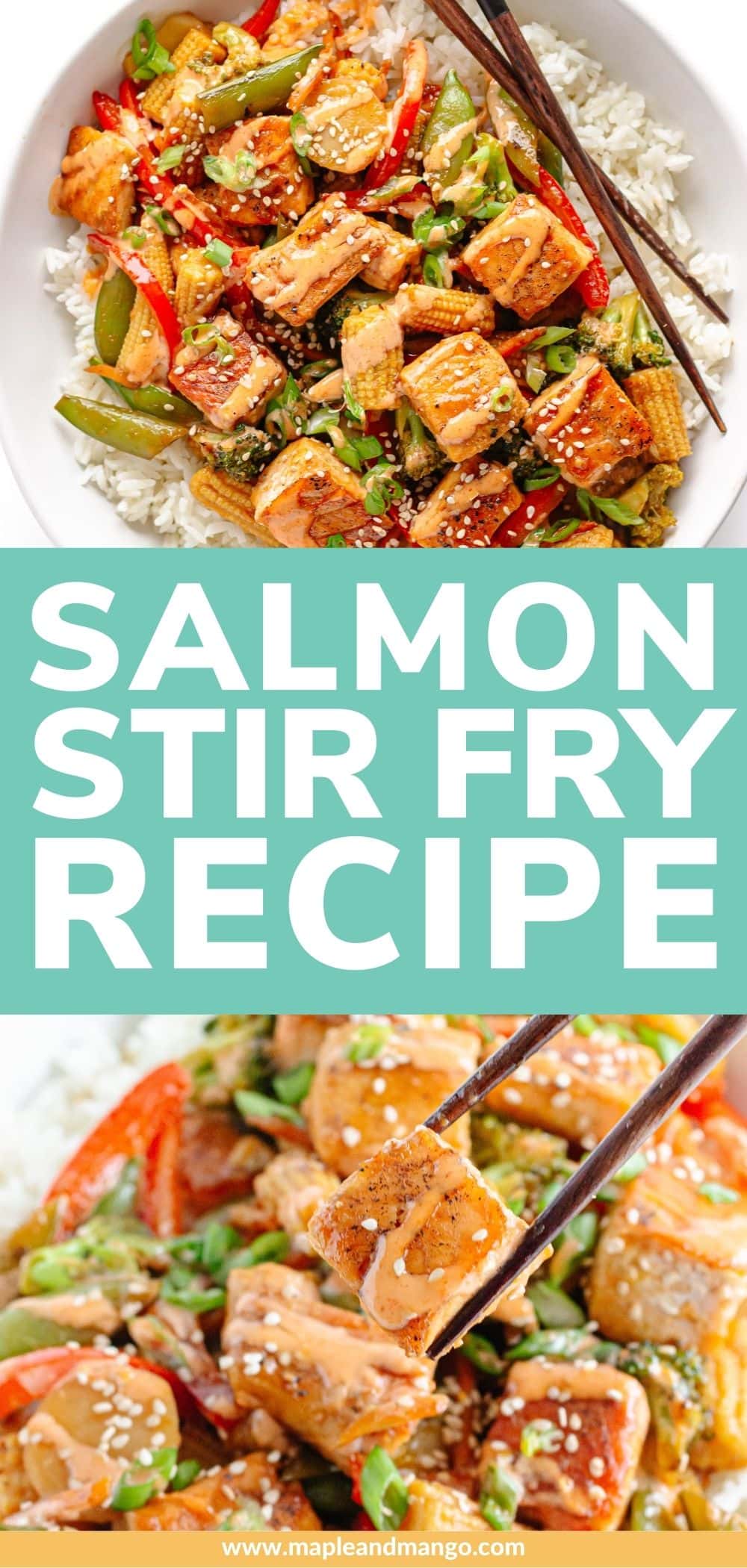 Easy Dinners - Salmon and Vegetable Stir Fry - Healthy Seafood Dinner