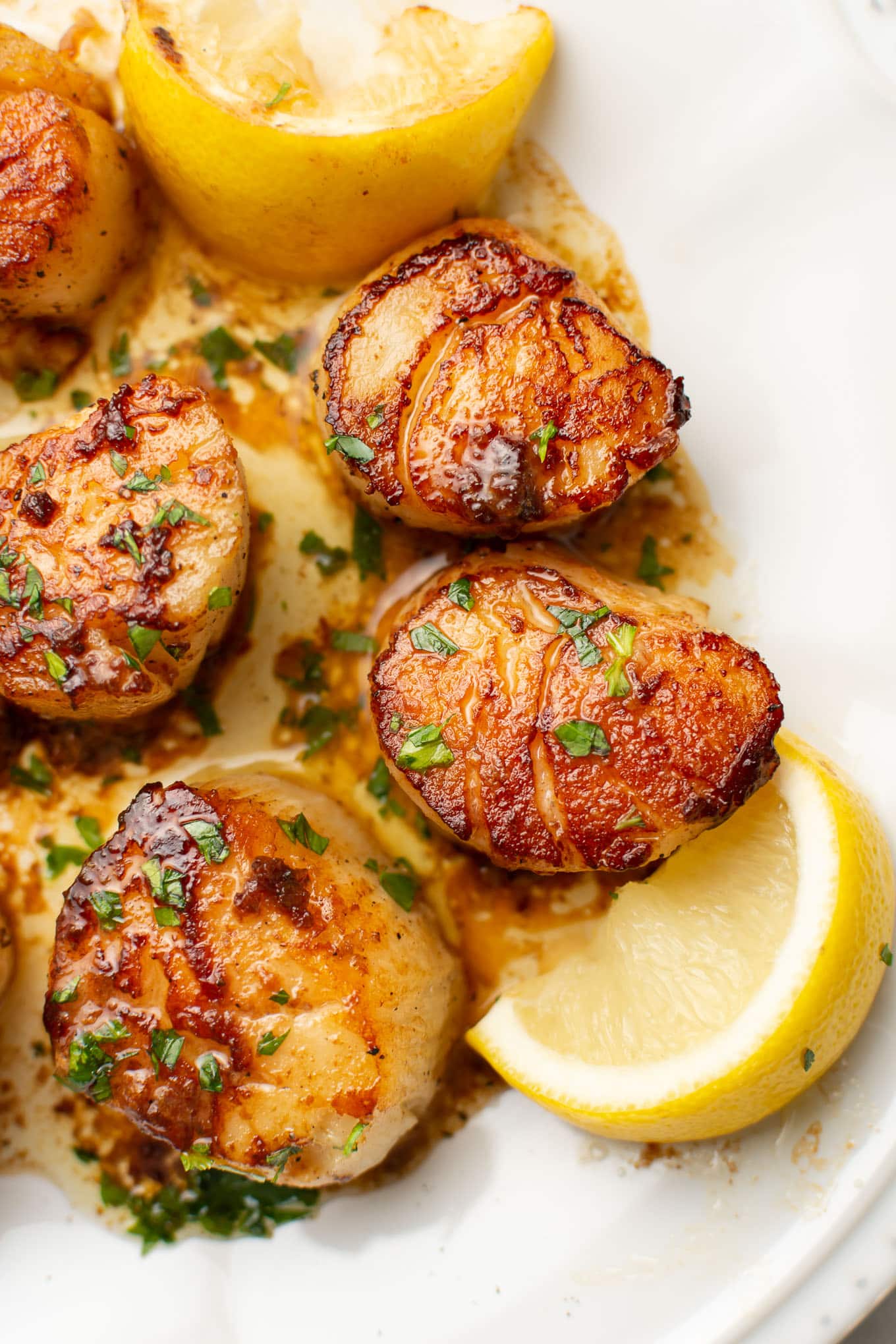 Low fat recipes — seared scallops with lemon butter, healthy easy recipe