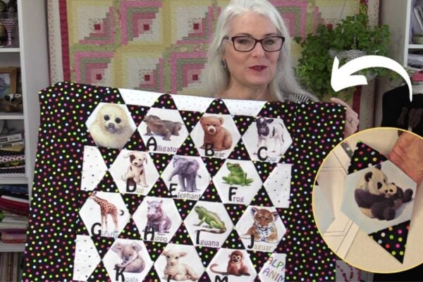 Finished Simple Alphabet Star Quilt, a completed DIY project
