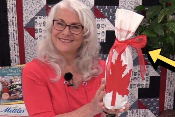 Simple Wine Bottle Gift Bag Sewing, homemade and freshly served