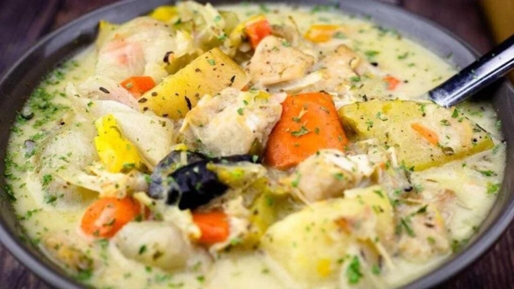 Slow Cooker Chicken and Vegetables Stew, homemade and freshly served