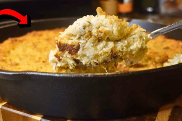 Best Southern Style Cornbread Dressing, homemade and freshly served