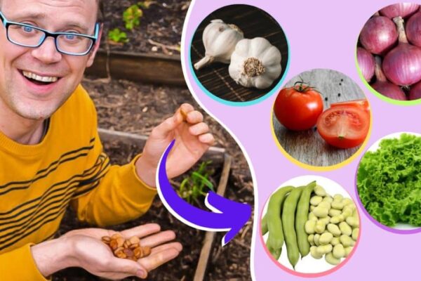 5 Best Vegetables to Start for Spring, homemade and freshly served