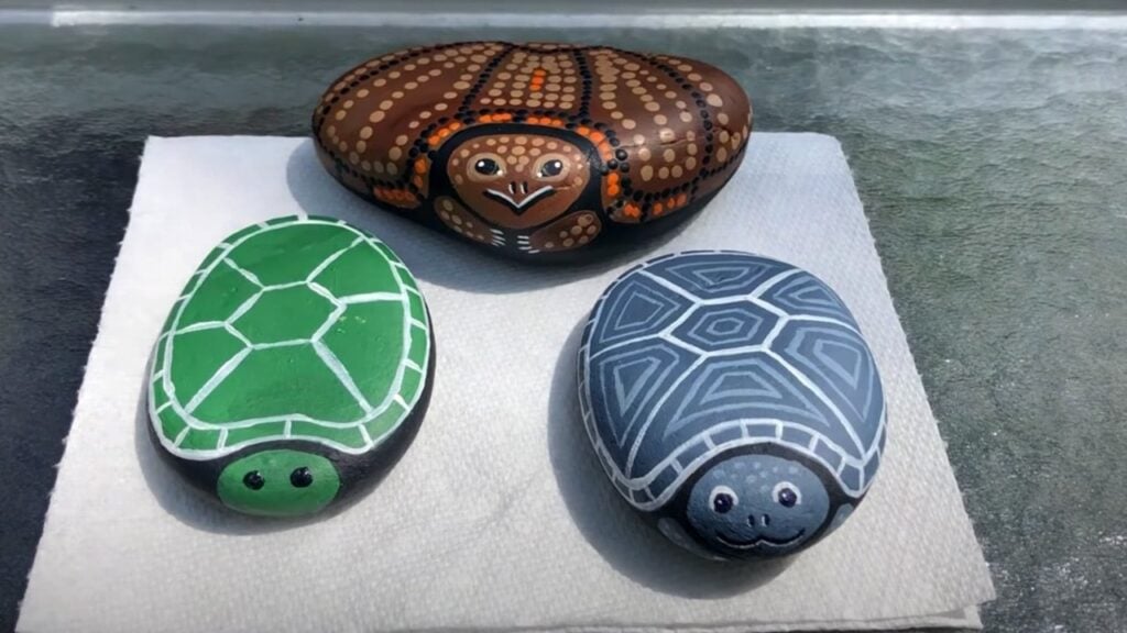 Finished How to Paint a Rock into a Turtle, a completed DIY project
