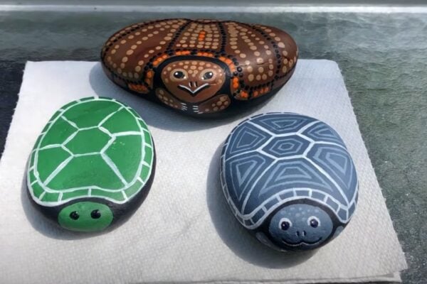 Finished How to Paint a Rock into a Turtle, a completed DIY project