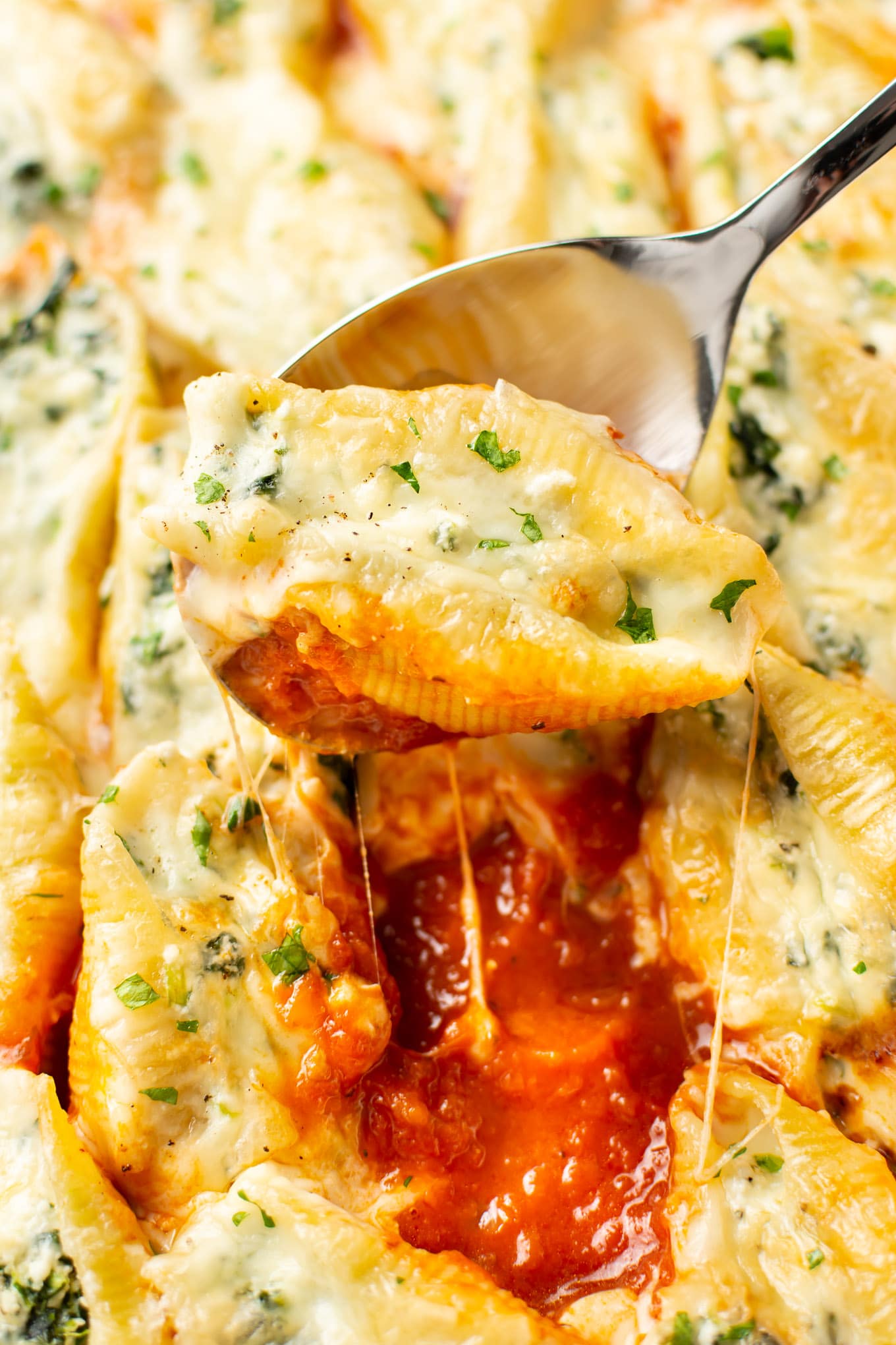 Spinach Recipes - Spinach Ricotta Stuffed Shells - Baked Pasta Dinner Spinach Recipes - Spinach Ricotta Stuffed Shells - Baked Pasta Dinner