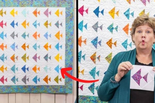 Finished Summer School Quilt, a completed DIY project
