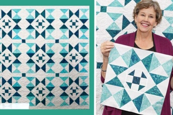 Finished Sunshine Shoofly Quilt Pattern With Jenny Doan, a completed DIY project
