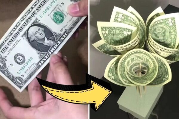 Finished Super Easy Peony Money Flower, a completed DIY project