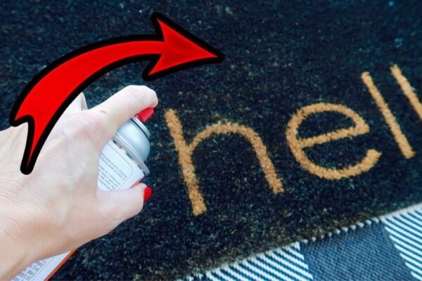 Finished Surprising Mod Podge Rug Cleaning Hack, a completed DIY project