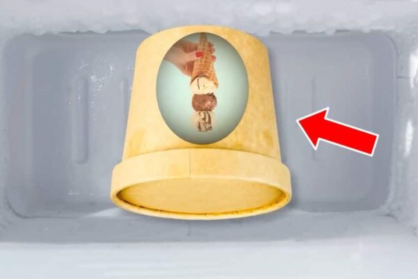 You’ve Probably Been Storing Ice Cream The Wrong Way, homemade and freshly served