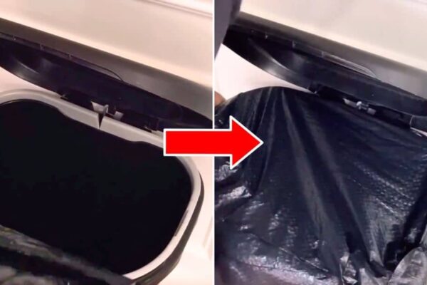 Finished You’ve Been Using Trash Bags the Wrong Way, a completed DIY project