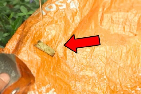 Finished Top 13 Camping Hacks That Actually Work, a completed DIY project