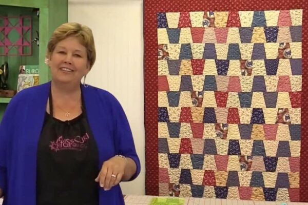 Finished Tumbler Chevron Quilt With Jenny Doan, a completed DIY project