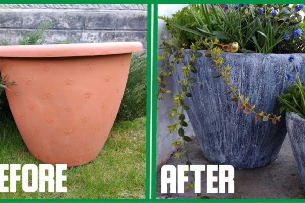 Finished Turn a Plastic Pot Into an Expensive Looking Cement Pot, a completed DIY project