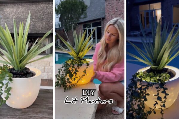 Finished Viral TikTok DIY Lit Planters, a completed DIY project