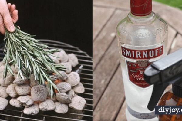 27 Ways to Banish Bugs From Next Barbecue
