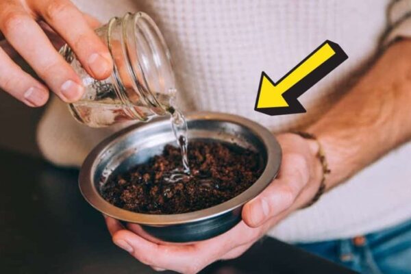 5 Ways to Reuse Coffee Grounds