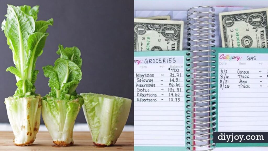 Save Money in 2025 with These 50