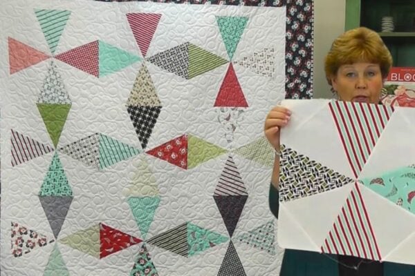 Finished Wedge Diamond Quilt With Jenny Doan, a completed DIY project