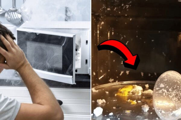 Finished 7 Things You Should Never Microwave, a completed DIY project