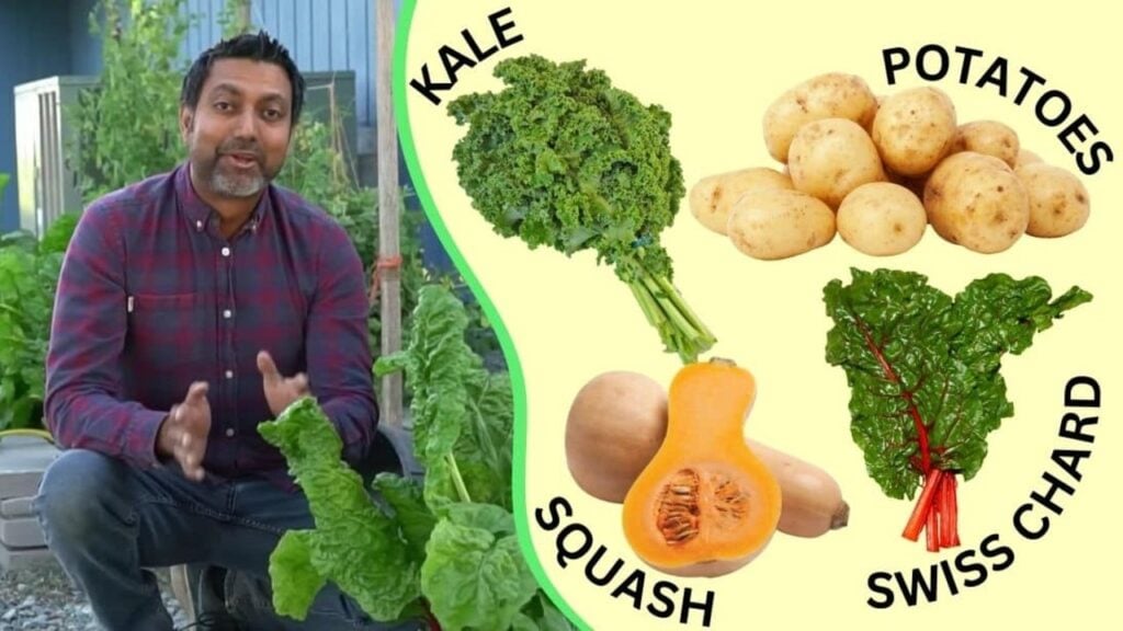 Finished 8 Best Seeds You Must Grow in July, a completed DIY project