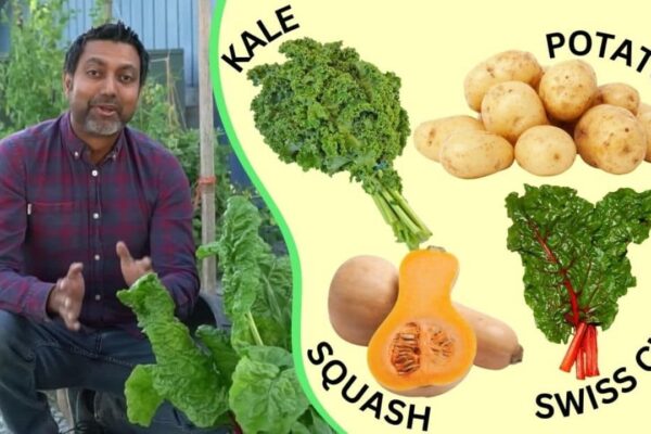 Finished 8 Best Seeds You Must Grow in July, a completed DIY project