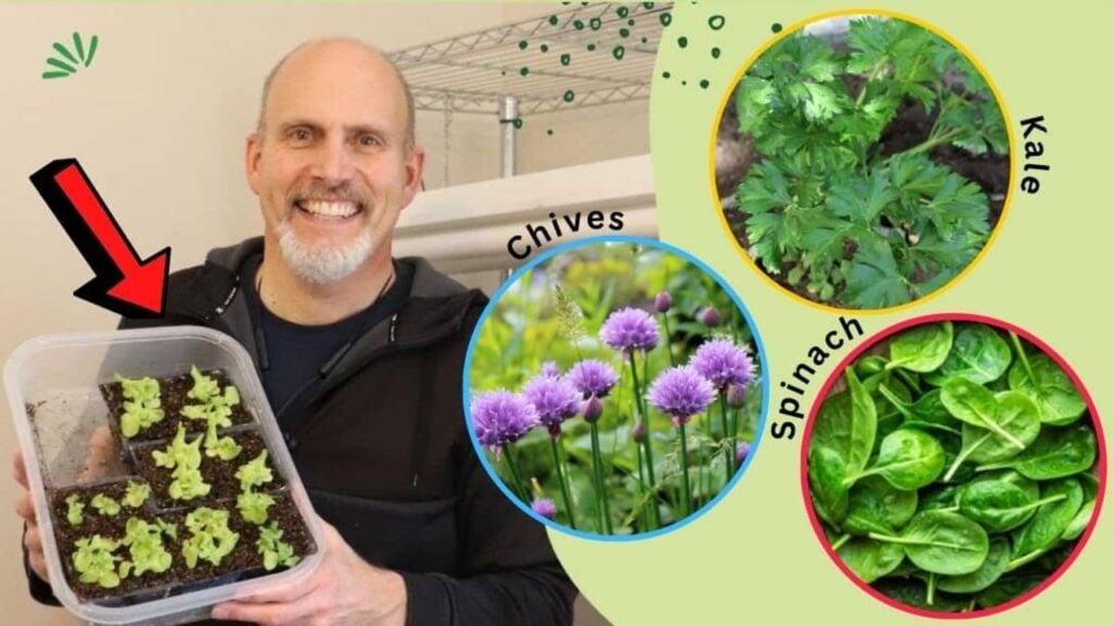 Finished 9 Seeds That You Can Plant Indoors In January, a completed DIY project