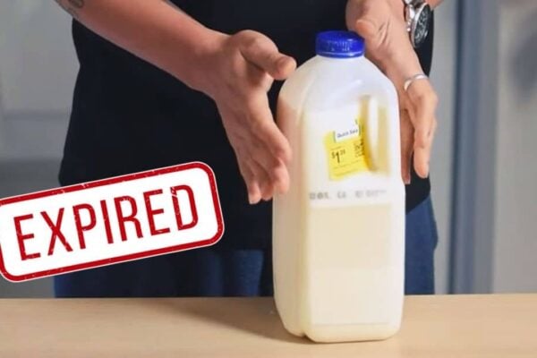 Finished What to Do With Expired Milk, a completed DIY project