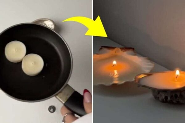 Finished DIY Seashells Candle, a completed DIY project