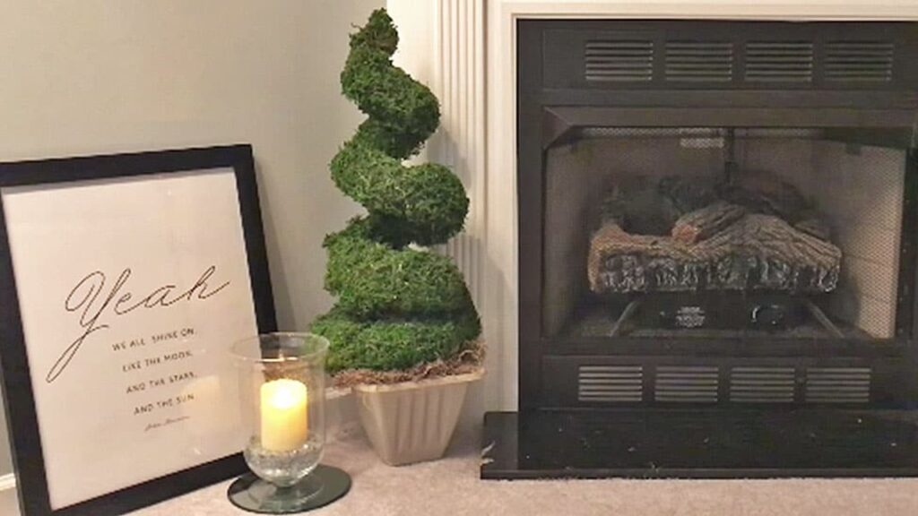 Finished You Don’t Need A Green Thumb To Make This Dollar Store Topiary, a completed DIY project