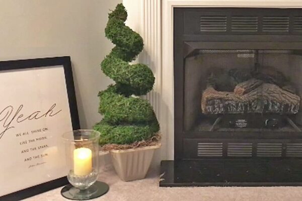 Finished You Don’t Need A Green Thumb To Make This Dollar Store Topiary, a completed DIY project